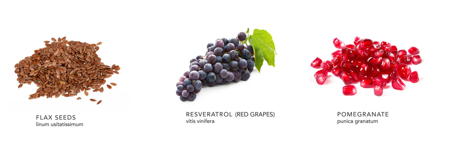 FIRMING FLAX EYE CREAM (Firming)